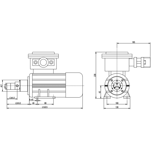 Explosions -Micro -Zahnradpumpe für explosive Orte